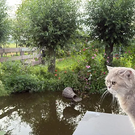 De Wilgenhoeve Kwadijk